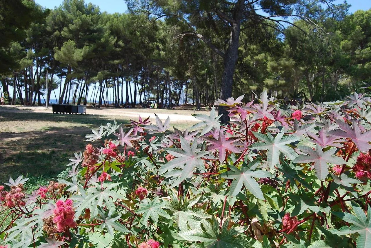 Adorable Guest House Vue Et Acces Direct Mer Saint-Mandrier-sur-Mer 0*,  Francja